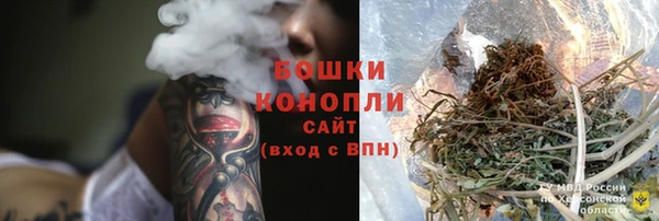 дживик Бронницы