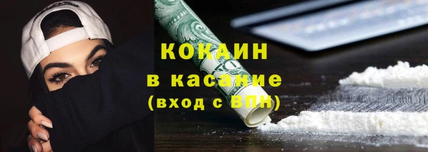 дживик Бронницы