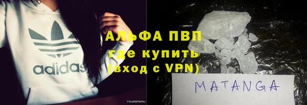 ГАЛЛЮЦИНОГЕННЫЕ ГРИБЫ Бородино