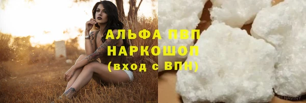 крисы Пенза