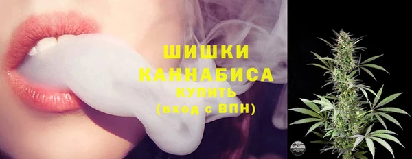 ГАЛЛЮЦИНОГЕННЫЕ ГРИБЫ Бородино