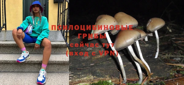 ГАЛЛЮЦИНОГЕННЫЕ ГРИБЫ Бородино