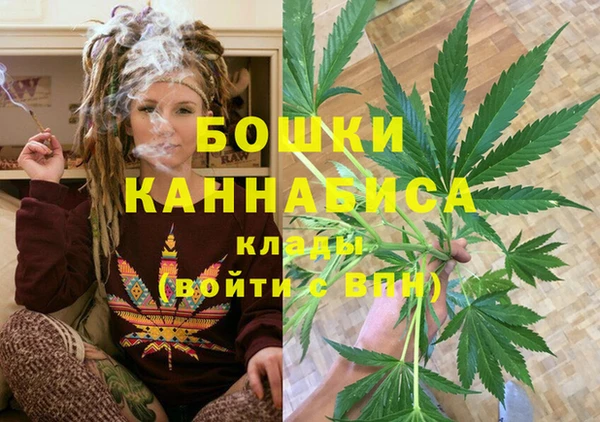 ГАЛЛЮЦИНОГЕННЫЕ ГРИБЫ Бородино
