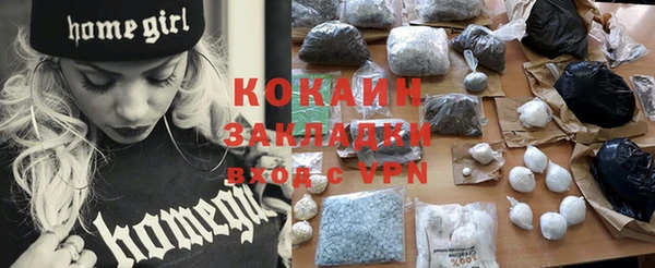 ГАЛЛЮЦИНОГЕННЫЕ ГРИБЫ Бородино