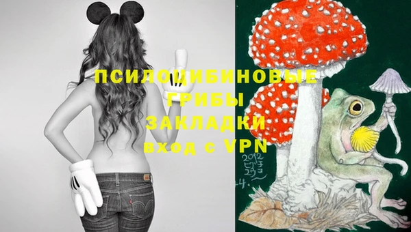 ГАЛЛЮЦИНОГЕННЫЕ ГРИБЫ Бородино