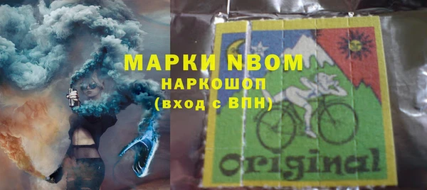 дживик Бронницы
