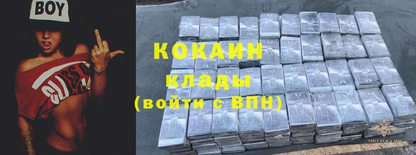 дживик Бронницы