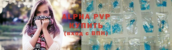 ГАЛЛЮЦИНОГЕННЫЕ ГРИБЫ Бородино